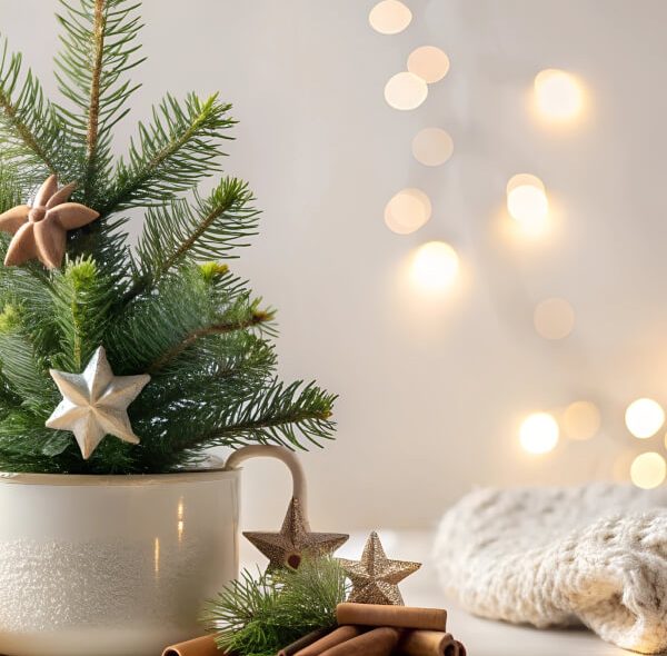 Cinco consejos para pasar las Celebraciones Navideñas después de perder a un ser querido